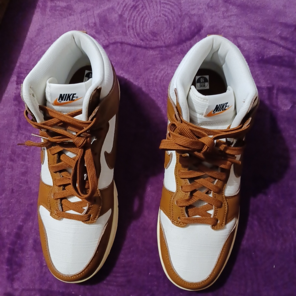 Nike Dunk Retro Certified Fresh sz. 10 Gently Worn-refurbished